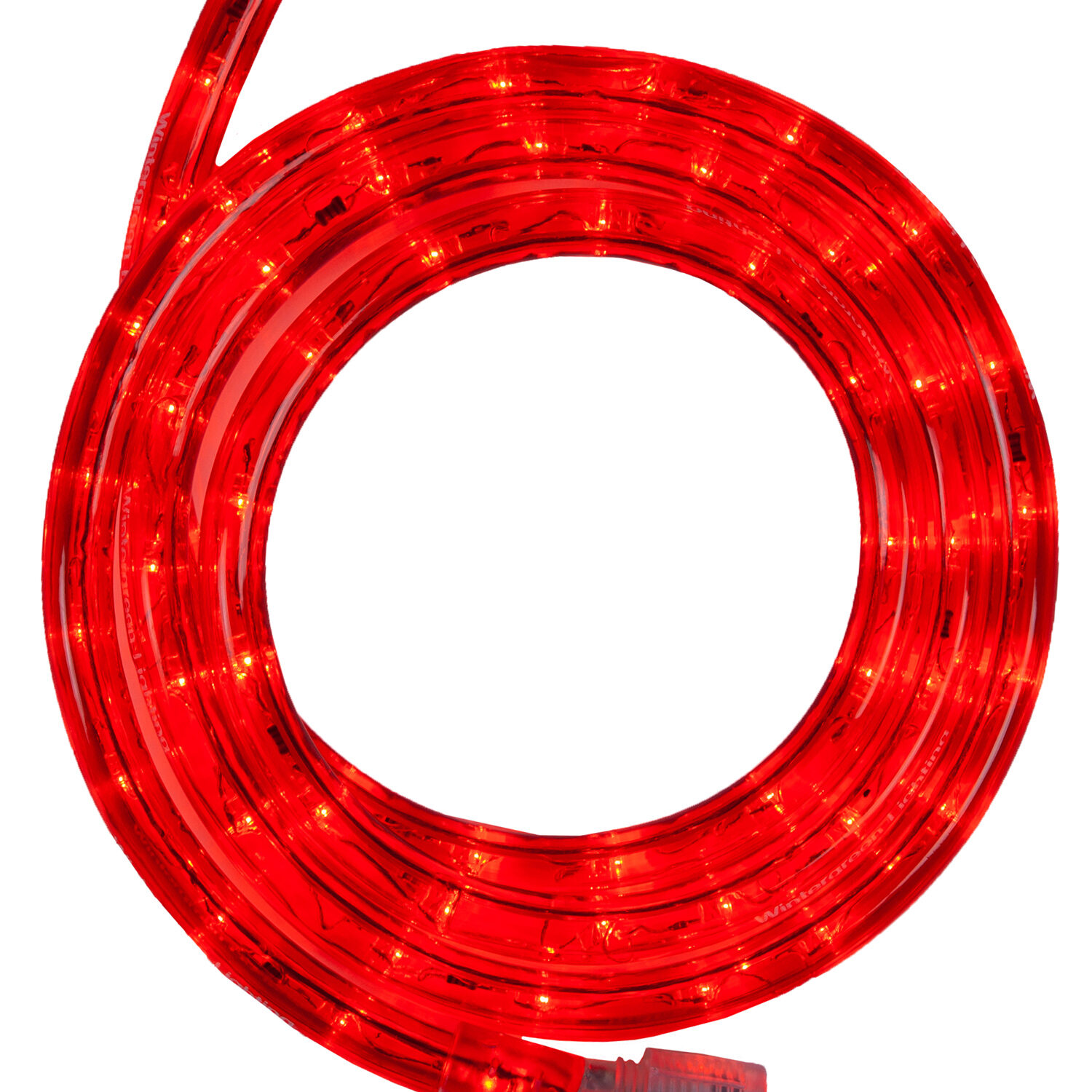 18 Red LED Rope Light 2 Wire 1 2