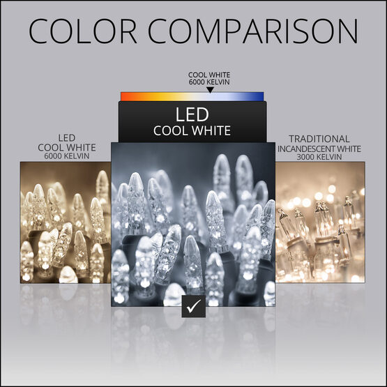 4' x 6' M5 LED Net Lights, Cool White, Green Wire
