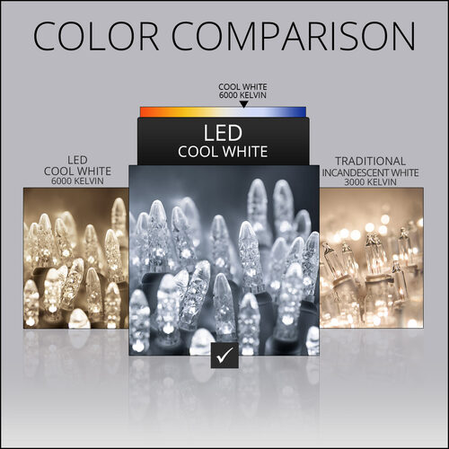 4' x 6' M5 LED Net Lights, Cool White, Green Wire