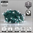 Cool White Outdoor LED String Lights, 50 ct, 5MM