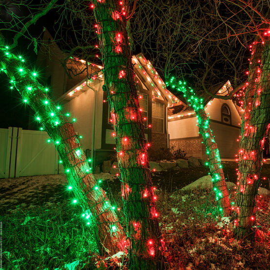 24' Wide Angle LED Mini Lights, Red, Green Wire
