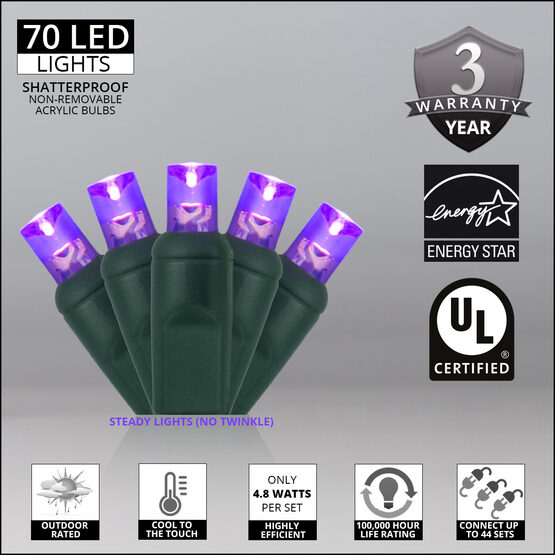 24' Wide Angle LED Mini Lights, Purple, Green Wire