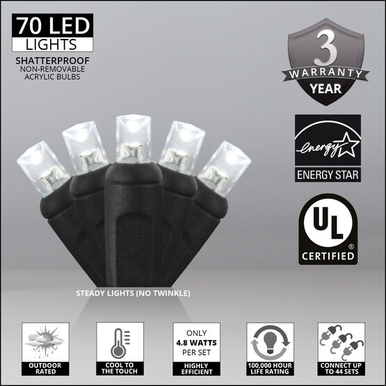 24' Wide Angle LED Mini Lights, Cool White, Black Wire
