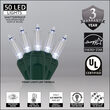 17' T5 Mini Christmas String Lights, Cool White, Green Wire