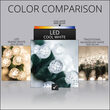 24' Raspberry LED String Lights, Cool White, Green Wire