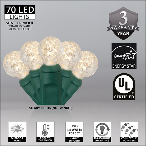 24' Raspberry LED String Lights, Warm White, Green Wire