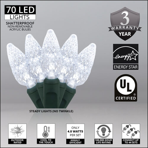 24' Strawberry LED String Lights, Cool White, Green Wire