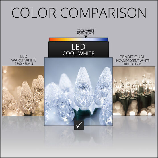 24' Strawberry LED String Lights, Cool White, Green Wire