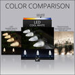 C9 OptiCore LED Light Bulbs, Cool White