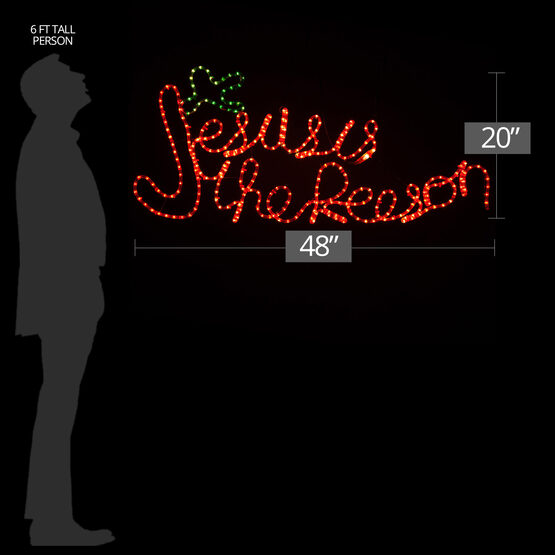 20" Jesus is the Reason 