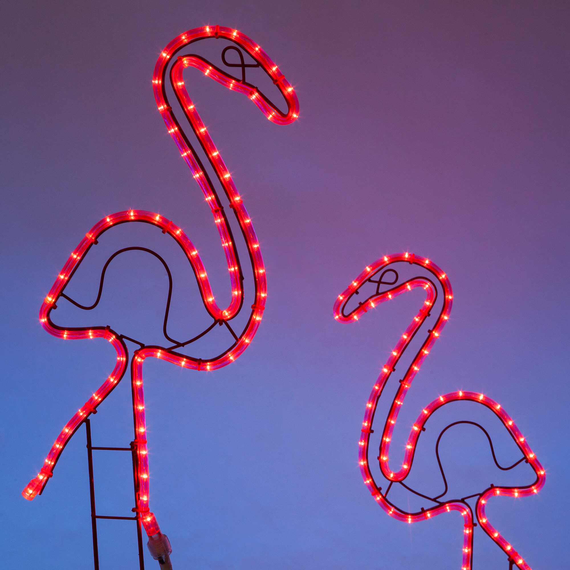 christmas light flamingo