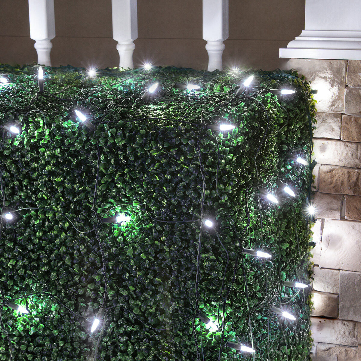 M5 LED Net Lights, Cool White, 4' x 6', Green Wire
