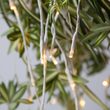48" White Falling Willow LED Lighted Branches, Warm White Lights, 1 pc