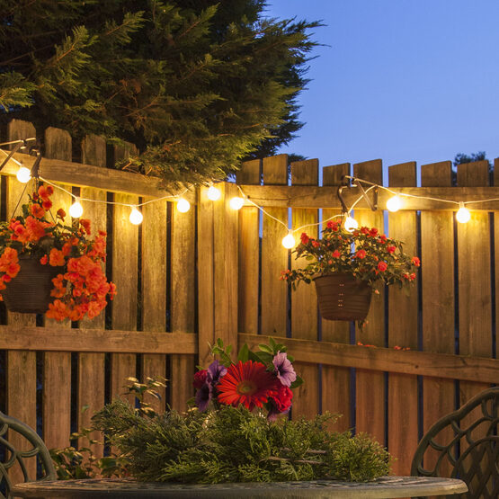 25' Globe String Light Set, 25 Warm White G50 OptiCore LED Bulbs