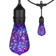 30' Commercial Patio String Light Set, 10 RGB Color Change ST64 LEDimagine TM Fairy Light Bulbs, Suspended, Black Wire