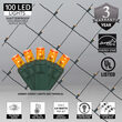 4' x 6' 5mm LED Net Lights, Amber, Green Wire