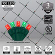 4' x 6' 5mm LED Net Lights, Red, Green, Green Wire