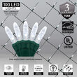4' x 6' M5 LED Net Lights, Cool White, Green Wire