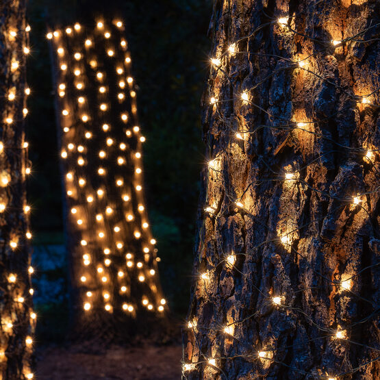 Trunk Wrap Lights, 2' x 8', Clear, Green Wire