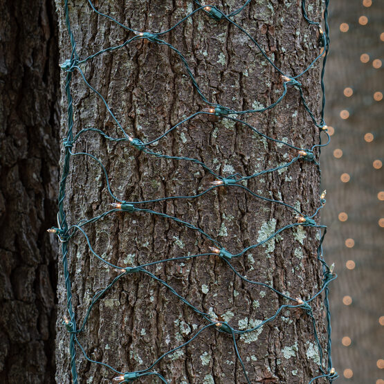 Trunk Wrap Lights, 2' x 8', Clear, Green Wire