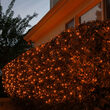 4' x 6' 5mm LED Net Lights, Amber, Green Wire