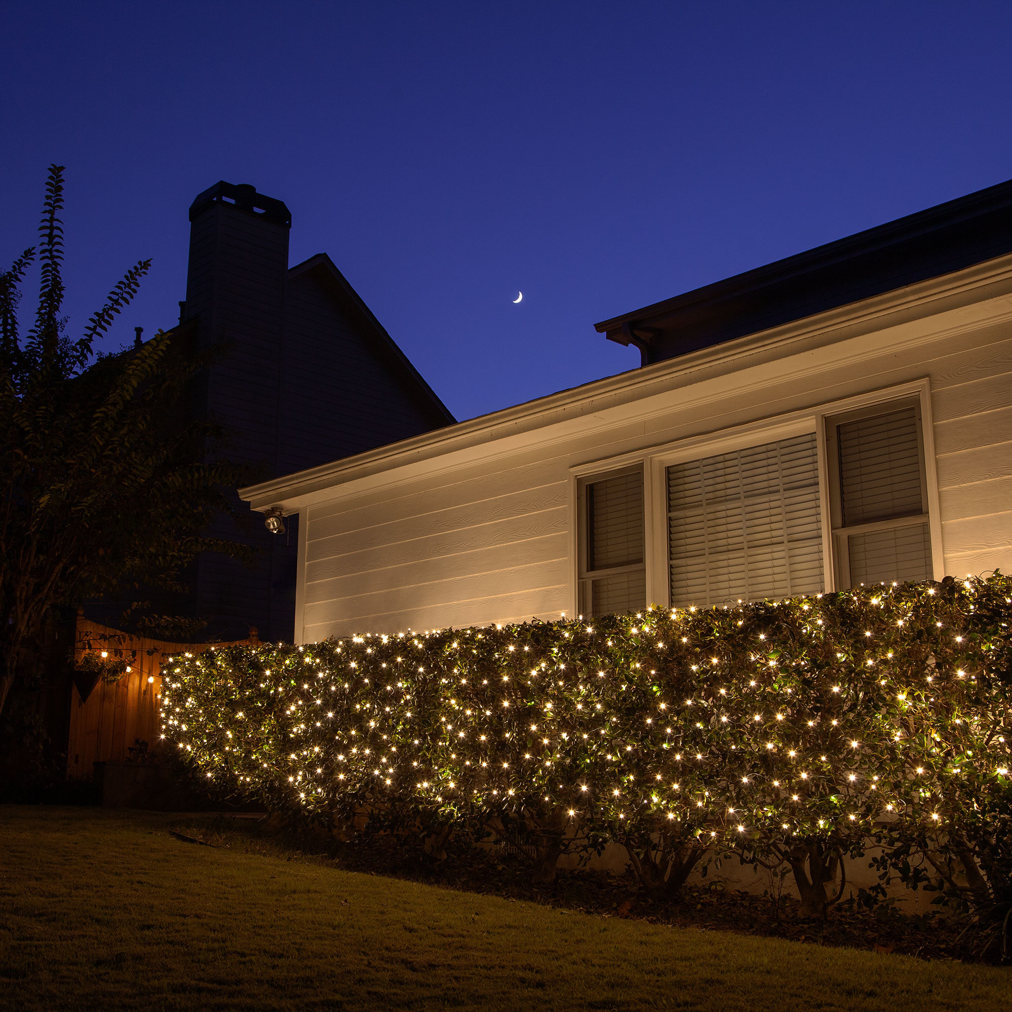 twinkle net lights