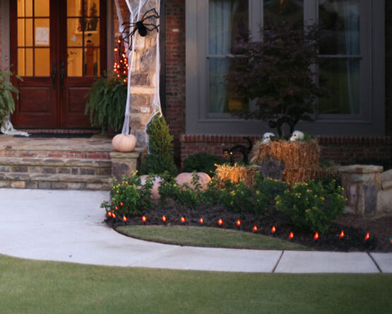 C7 Light Bulb, Orange Flicker Flame