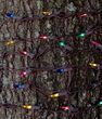Trunk Wrap Lights, 6" x 12', Multicolor, Brown Wire