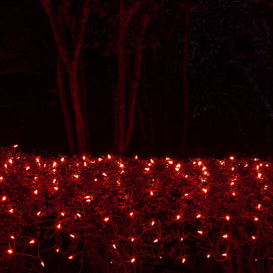 4' x 6' M5 LED Net Lights, Red, Green Wire