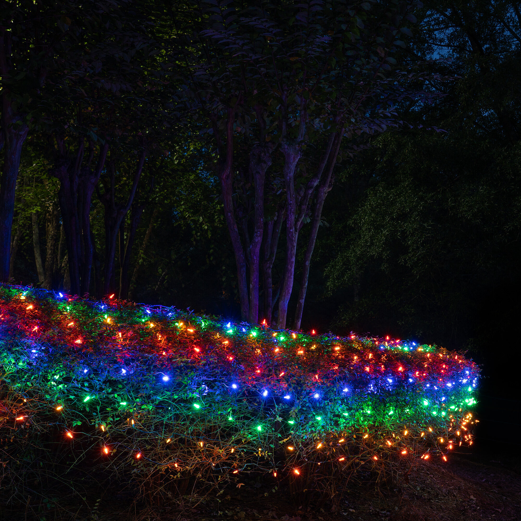 4' x 6' M5 LED Net Lights, Multicolor, Green Wire