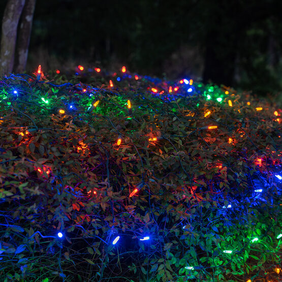 4' x 6' M5 LED Net Lights, Multicolor, Green Wire