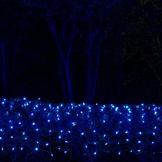 4' x 6' M5 LED Net Lights, Blue, Green Wire