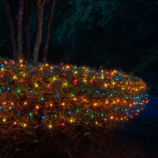 4' x 6' Net Lights, Multicolor, Green Wire