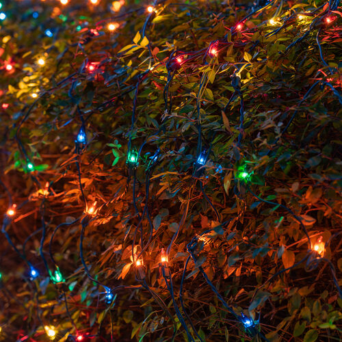 4' x 6' Net Lights, Multicolor, Green Wire