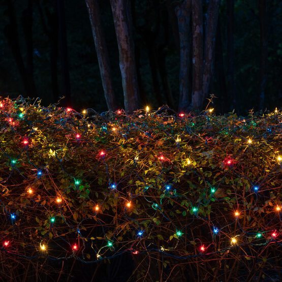 4' x 6' Net Lights, Multicolor, Green Wire