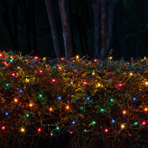 4' x 6' Net Lights, Multicolor, Green Wire