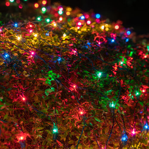 4' x 8' Net Lights, Multicolor, Green Wire