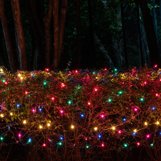4' x 8' Net Lights, Multicolor, Green Wire