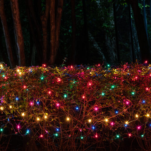 4' x 8' Net Lights, Multicolor, Green Wire