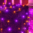 4' x 6' 5mm Halloween LED Net Lights, Purple, Orange, Black Wire