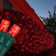 4' x 6' 5mm LED Net Lights, Red, Green Wire
