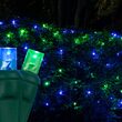 4' x 6' 5mm LED Net Lights, Blue, Green, Green Wire