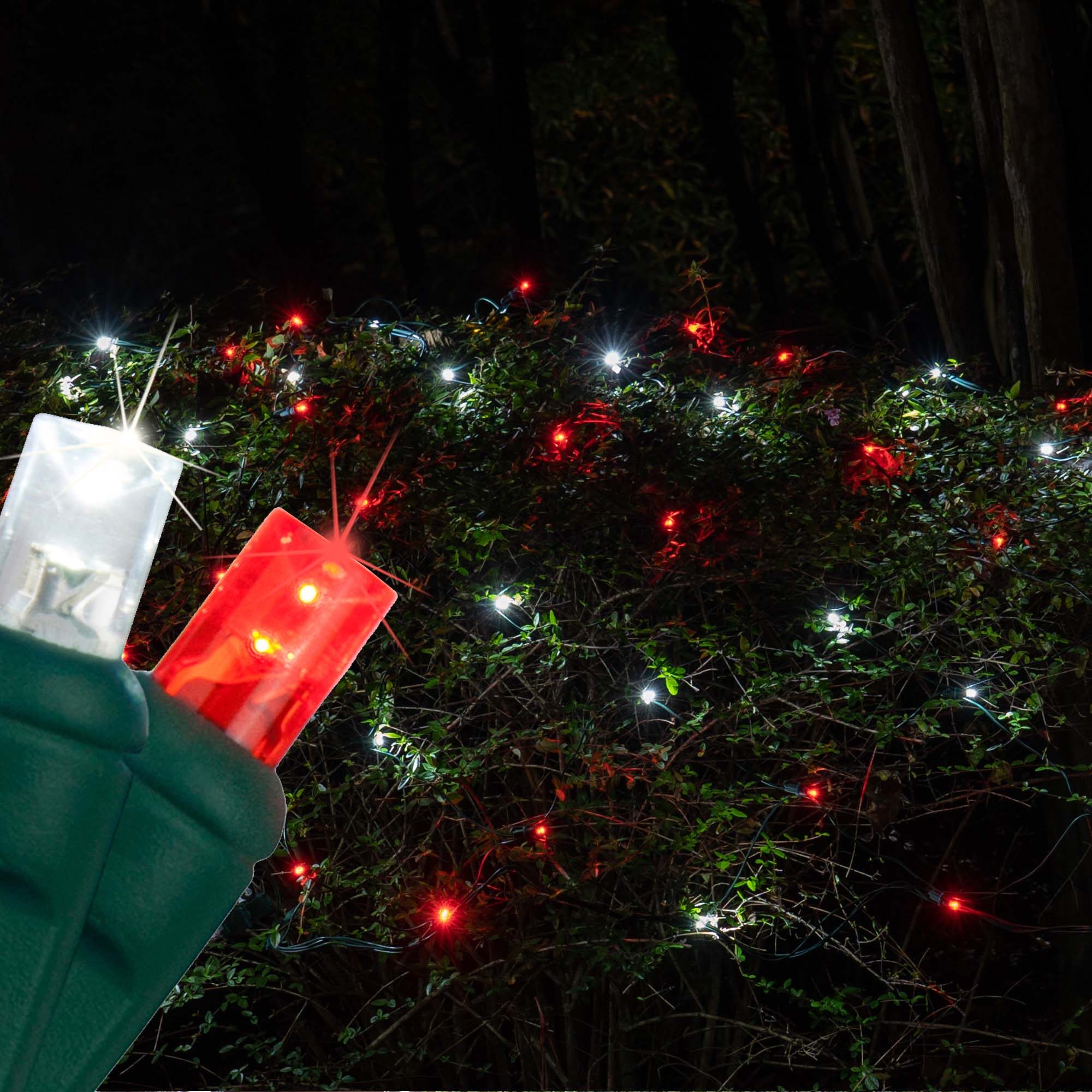 red and green net lights