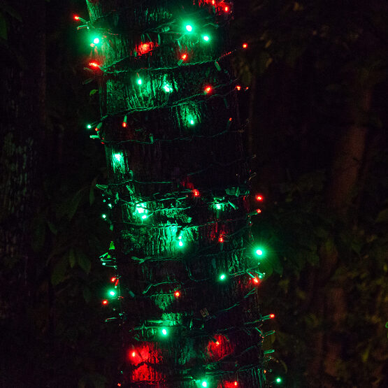 17' SoftTwinkle TM Wide Angle LED Mini Lights, Red, Green