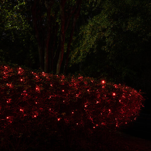 5mm SoftTwinkle LED Net Lights, Red, Green Wire Yard Envy