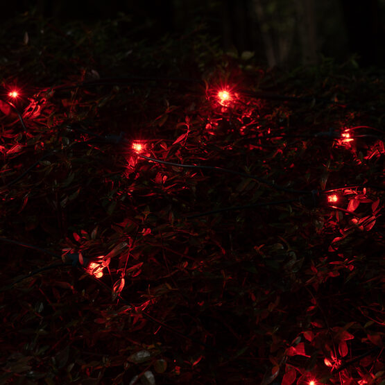 4' x 6' 5mm SoftTwinkle LED Net Lights, Red, Green Wire