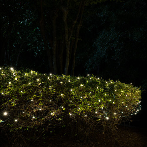 5mm SoftTwinkle LED Net Lights, Warm White, Green Wire Yard Envy