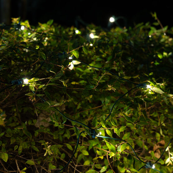 4' x 6' 5mm SoftTwinkle LED Net Lights, Warm White, Green Wire
