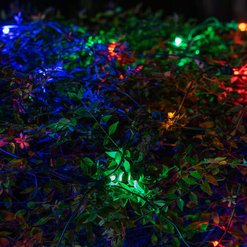 4' x 6' 5mm SoftTwinkle LED Net Lights, Multicolor, Green Wire