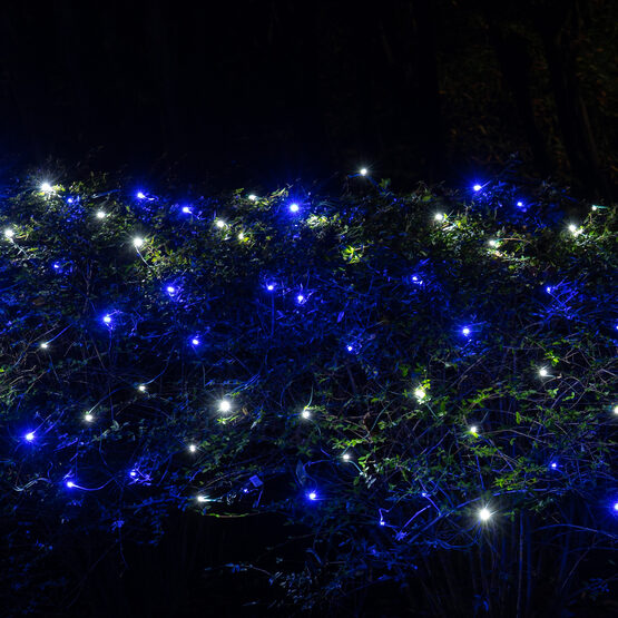 4' x 6' 5mm SoftTwinkle LED Net Lights, Blue, Cool White, Green Wire